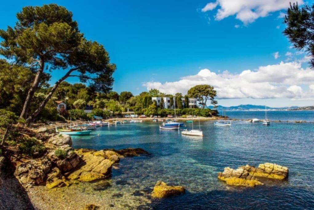 Charmant Studio Renove A Antibes, Plage A 10 Min A Pied Εξωτερικό φωτογραφία
